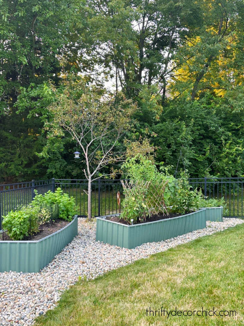 metal raised garden beds on rocks